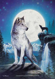 wolf8.jpg