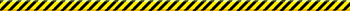 bar2.gif